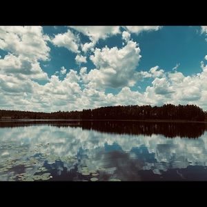 Meet your Posher, Leonardo